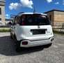 Fiat Panda 1.0 FireFly 70cv S&S Hybrid Cross Weiß - thumbnail 2