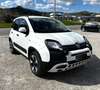 Fiat Panda 1.0 FireFly 70cv S&S Hybrid Cross Weiß - thumbnail 1