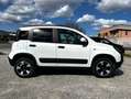 Fiat Panda 1.0 FireFly 70cv S&S Hybrid Cross Weiß - thumbnail 4