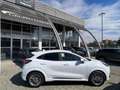Ford Puma Puma 1.0 ecoboost h ST-Line Vignale s Bianco - thumbnail 3