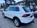Volkswagen Tiguan Highline 2.0 TDI 4Motion Weiß - thumbnail 7