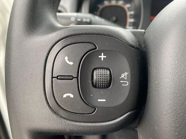 Fiat Panda view 13