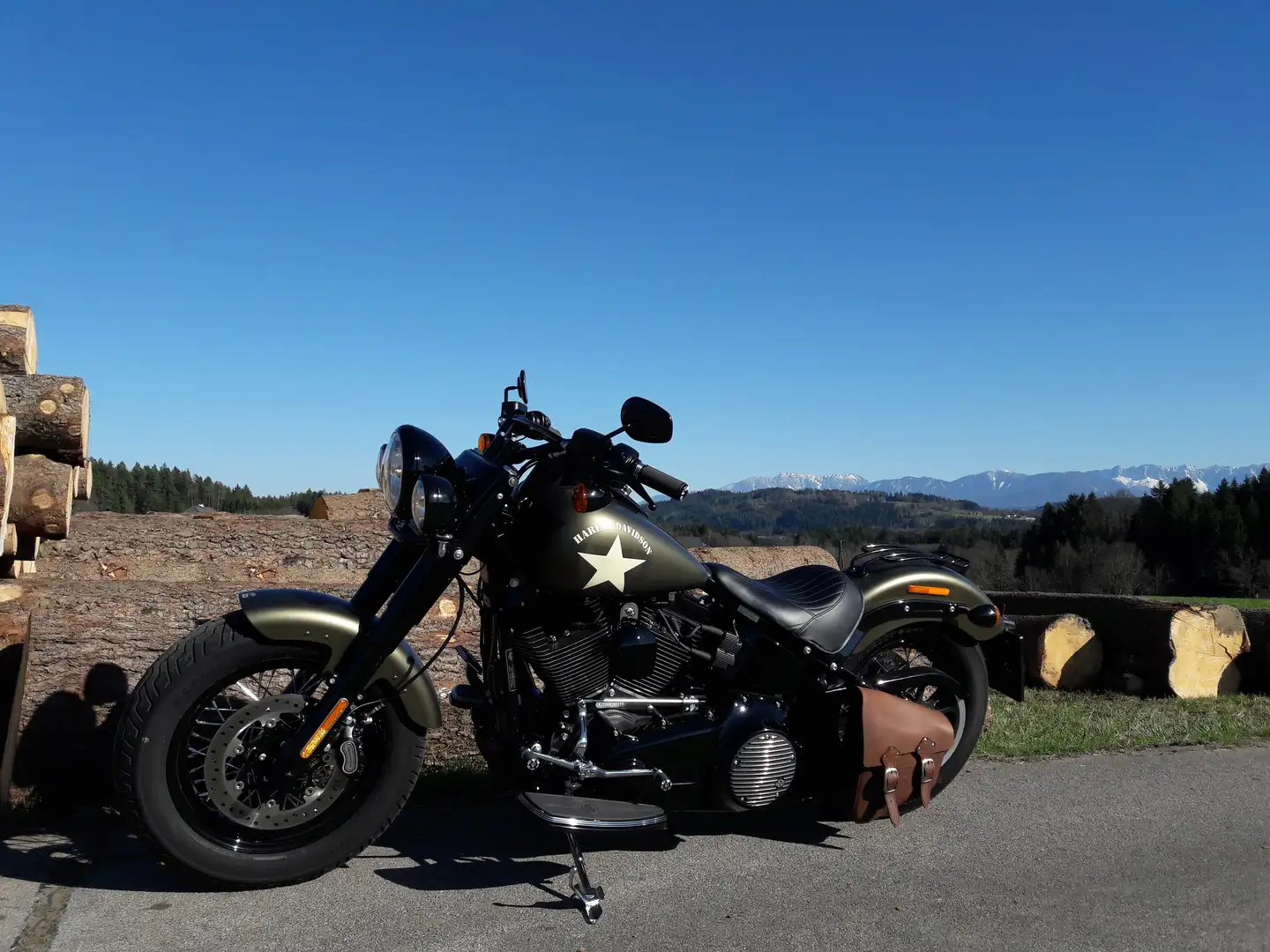 Harley-Davidson Softail Slim Softail Slim FLSS Verde - 2