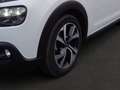 Citroen C3 C3 Shine Pack Weiß - thumbnail 9