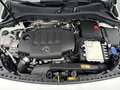 Mercedes-Benz B 180 d Österreich-Edition Cam PTS Navi AUT Wide Weiß - thumbnail 20
