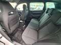 Skoda Karoq 2,0 TSI 4x4 Sportline DSG Gris - thumbnail 7