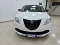 Lancia Ypsilon Ypsilon 1.2 8v 69cv E6 Weiß - thumbnail 2