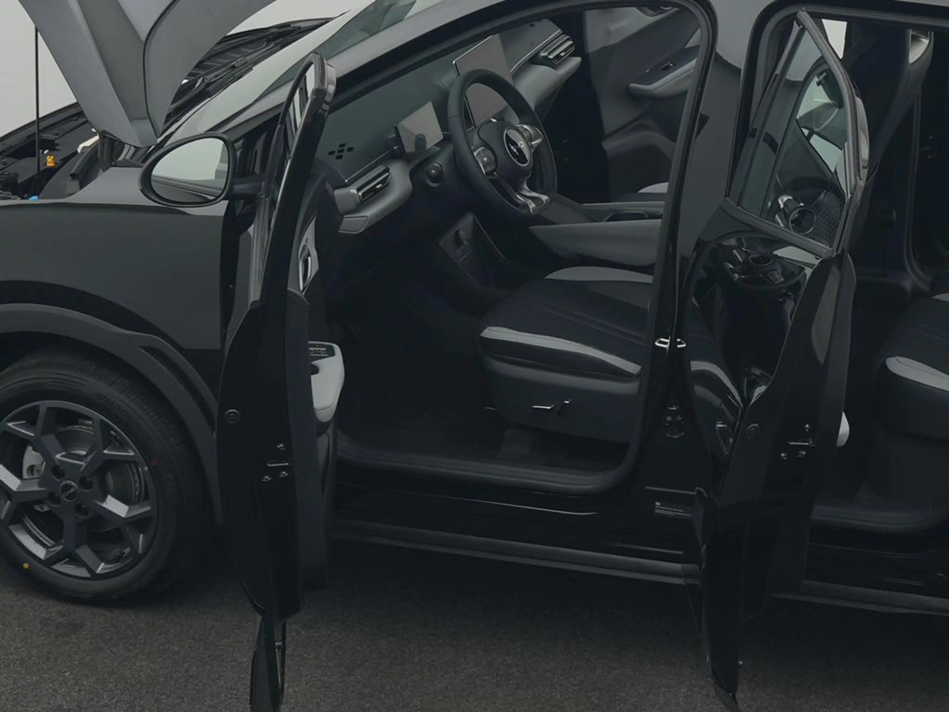 BYD Dolphin SURF Boost — photo 14