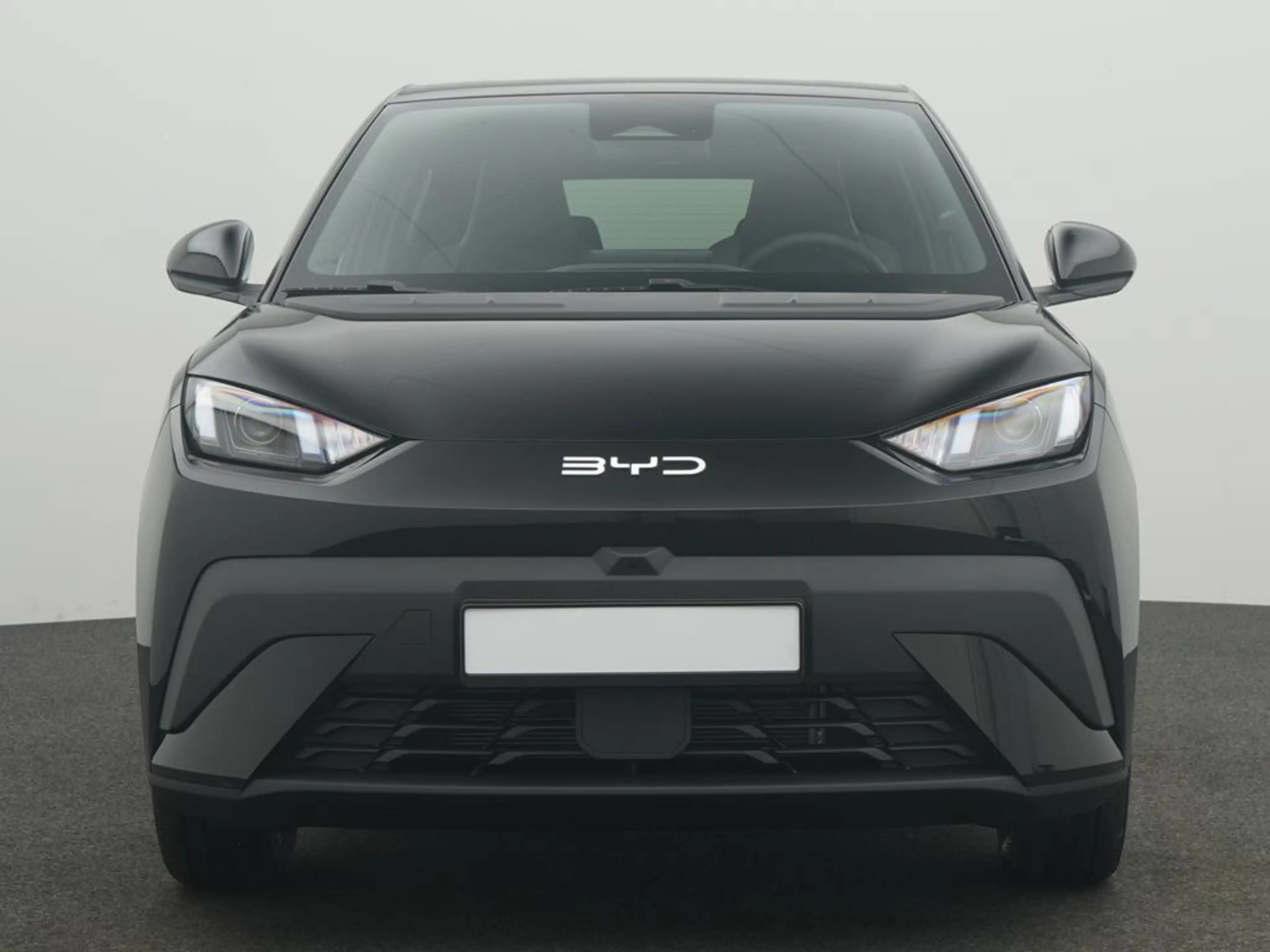 BYD Dolphin SURF Boost — photo 2