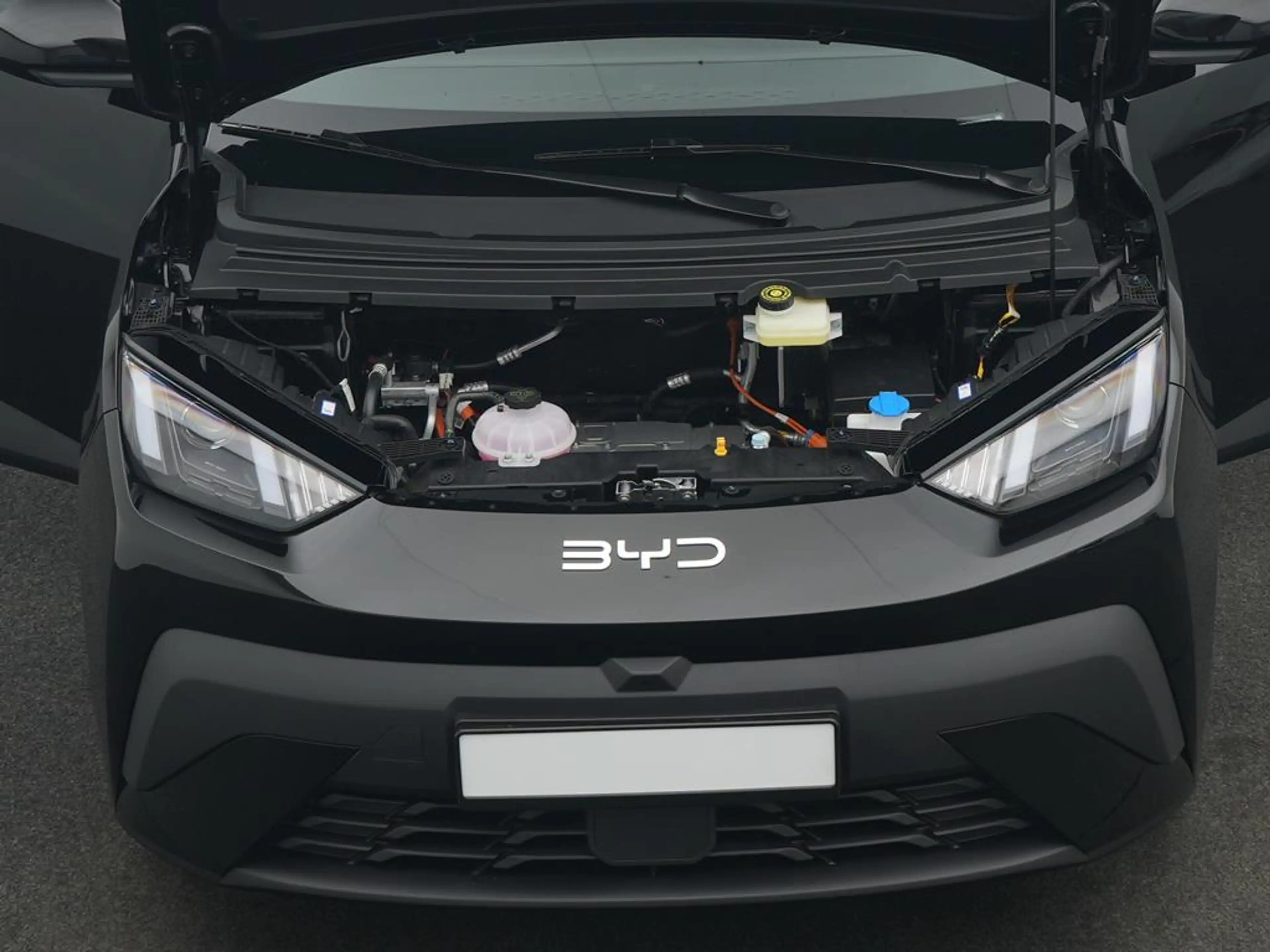 BYD Dolphin SURF Boost — photo 5