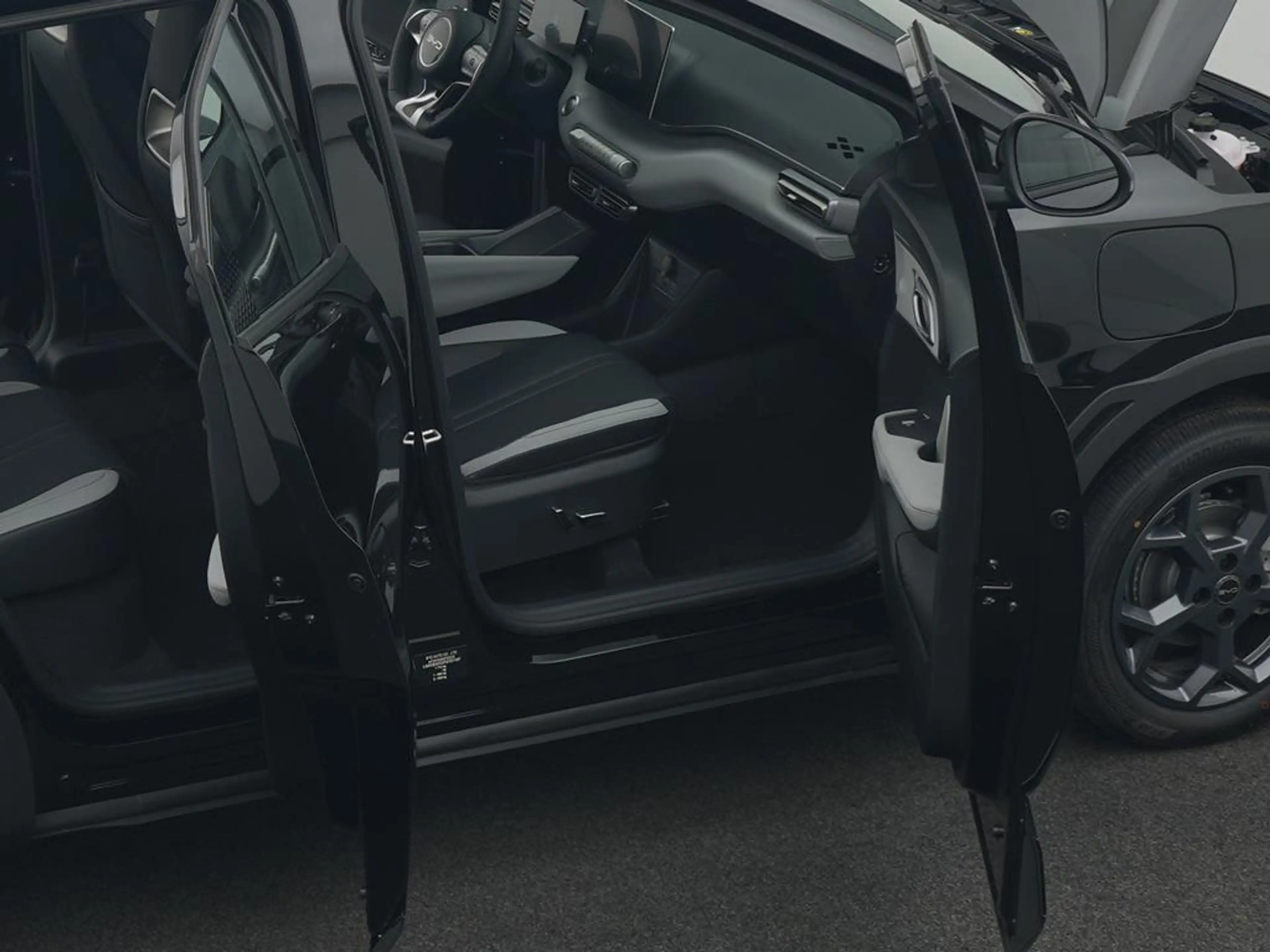 BYD Dolphin SURF Boost — photo 10