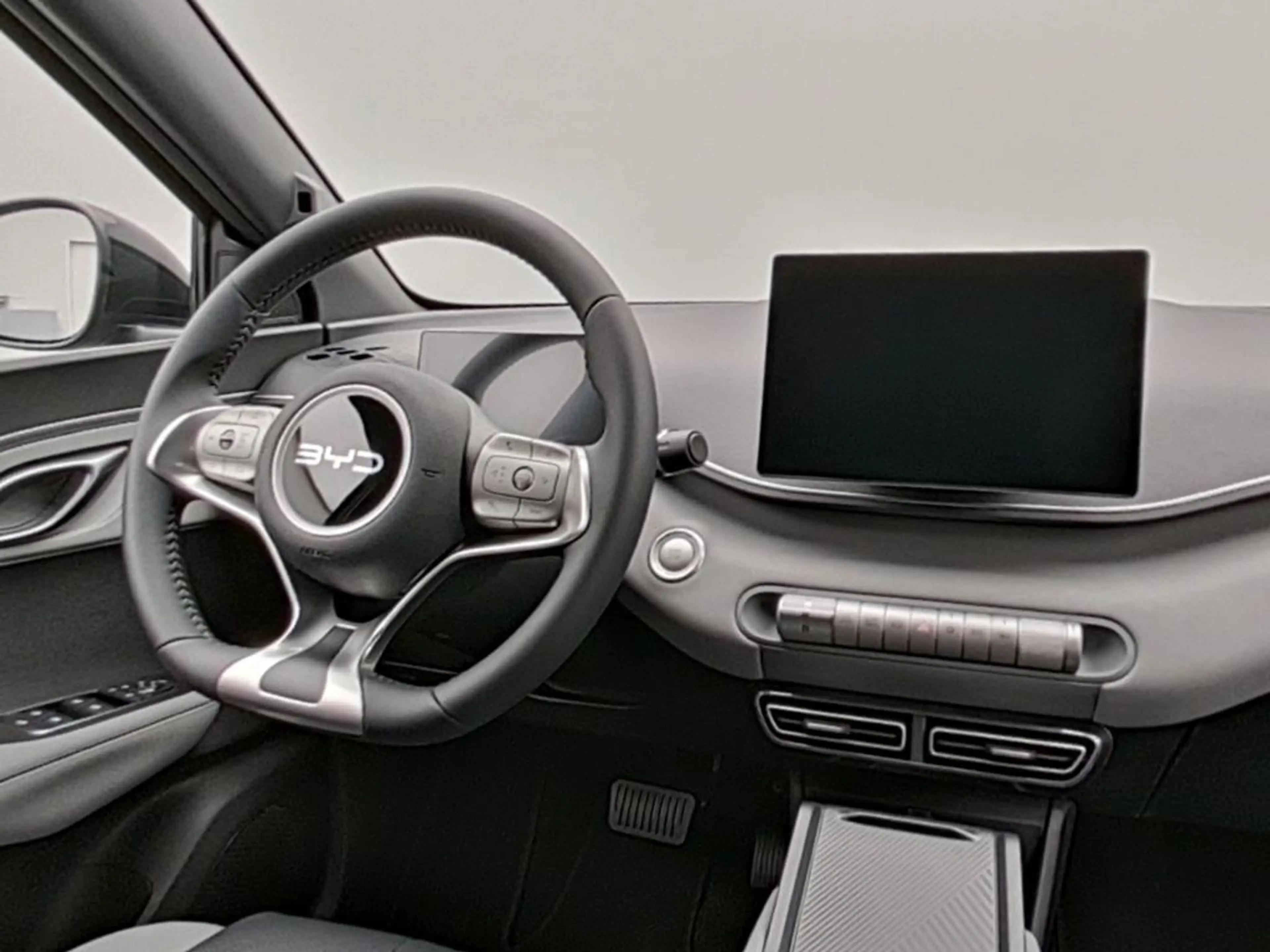 BYD Dolphin SURF Boost — photo 11