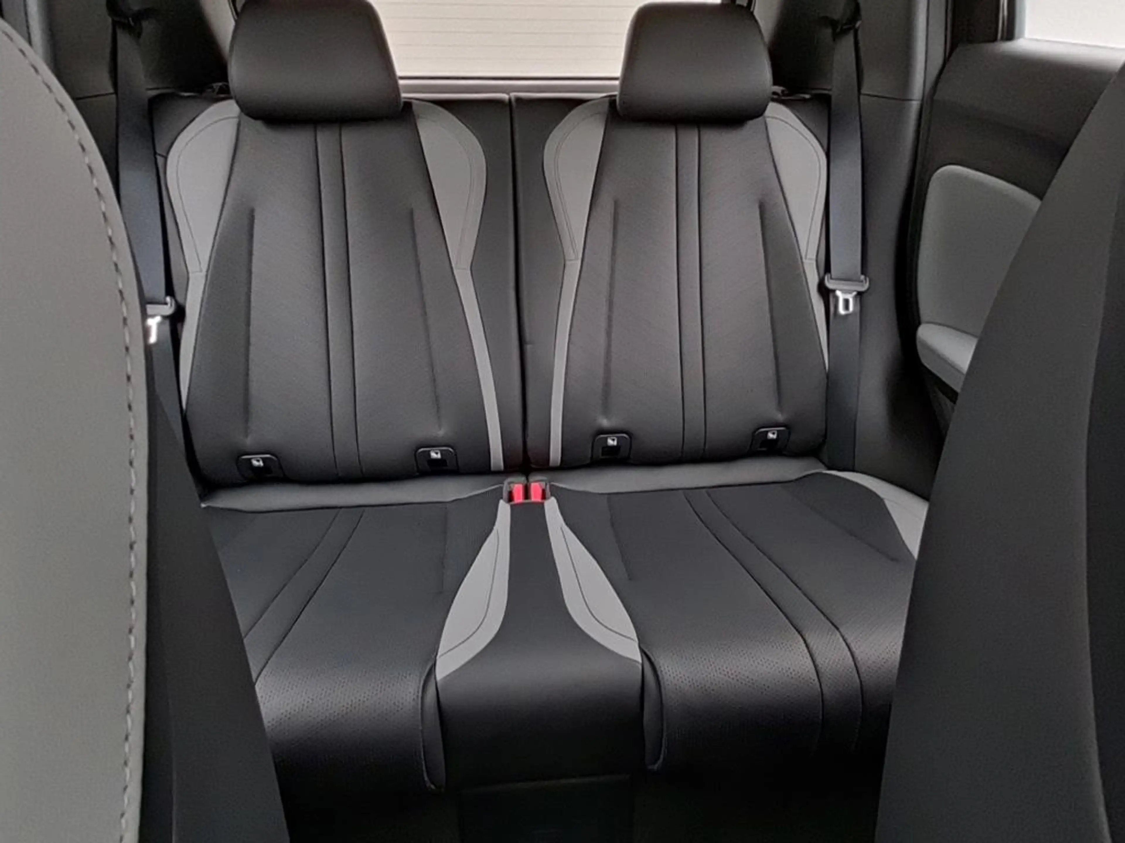 BYD Dolphin SURF Boost — photo 15