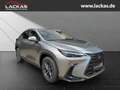 Lexus NX 350h h 243 PS Executive Inter ieur Paket + Technologie Paket Argent - thumbnail 7