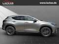 Lexus NX 350h h 243 PS Executive Inter ieur Paket + Technologie Paket Argent - thumbnail 6