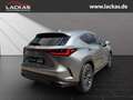 Lexus NX 350h h 243 PS Executive Inter ieur Paket + Technologie Paket Argent - thumbnail 5