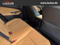 Lexus NX 350h h 243 PS Executive Inter ieur Paket + Technologie Paket Argent - thumbnail 16