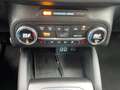 Ford Focus ST-Line 5D 1000i 125PK M6: cruise control, navi, c Noir - thumbnail 14