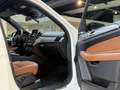 Mercedes-Benz GLE 500 e 4Matic*Pano*360°*AHK*H&K*Distronic* Blanco - thumbnail 21