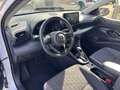 Toyota Yaris 1.5 Hybrid " Usato prima Scelta Full Optional " Bianco - thumbnail 14