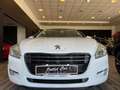 Peugeot 508 2.0 hdi 140cv s.w. Allure Wit - thumbnail 10