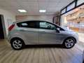 Ford Fiesta Fiesta 1.4 96CV aut. 5 porte Titanium Argento - thumbnail 6