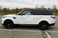 Land Rover Range Rover Sport Range Rover Sport 3.0 TDV6 SE White - thumbnail 8