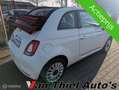 Fiat 500C 1.2 Lounge model 2016 Bílá - thumbnail 7
