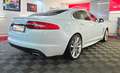 Jaguar XF 2.2 d Luxury-Sport-Paket LED Aut. Leder Weiß - thumbnail 11