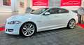 Jaguar XF 2.2 d Luxury-Sport-Paket LED Aut. Leder Weiß - thumbnail 8