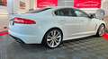 Jaguar XF 2.2 d Luxury-Sport-Paket LED Aut. Leder Weiß - thumbnail 13
