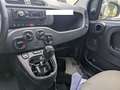 Fiat Panda Panda 1.0 FireFly S&S Hybrid - 2k** Nero - thumbnail 5