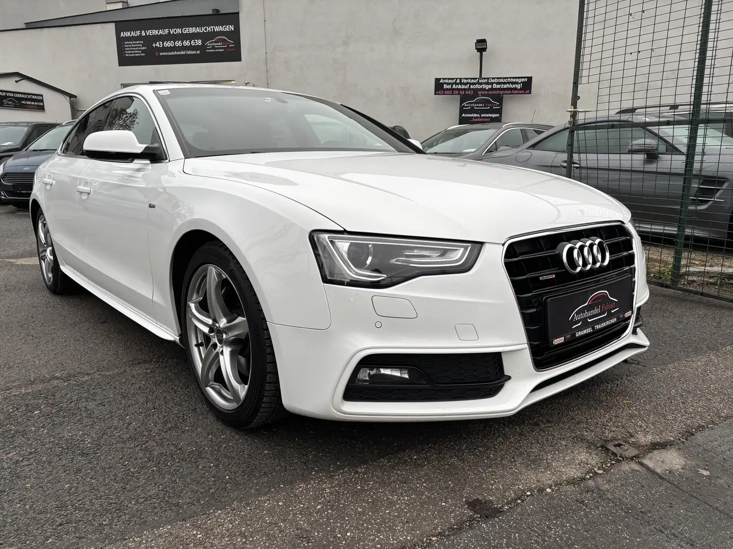 Audi A5 2,0 TFSI Allrad Autom. 211PS neues PICKERL 03/2027 Weiß - 1