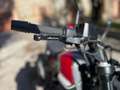 Benelli Leoncino 250 Rot - thumbnail 16