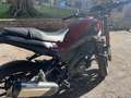 Benelli Leoncino 250 Red - thumbnail 7