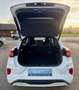 Ford Puma 1,0 EcoBoost Hybrid ST-Line - Automatik Weiß - thumbnail 21