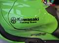 Kawasaki Ninja ZX-10RR 2024 Verde - thumbnail 11