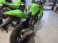 Kawasaki Ninja ZX-10RR 2024 Verde - thumbnail 3