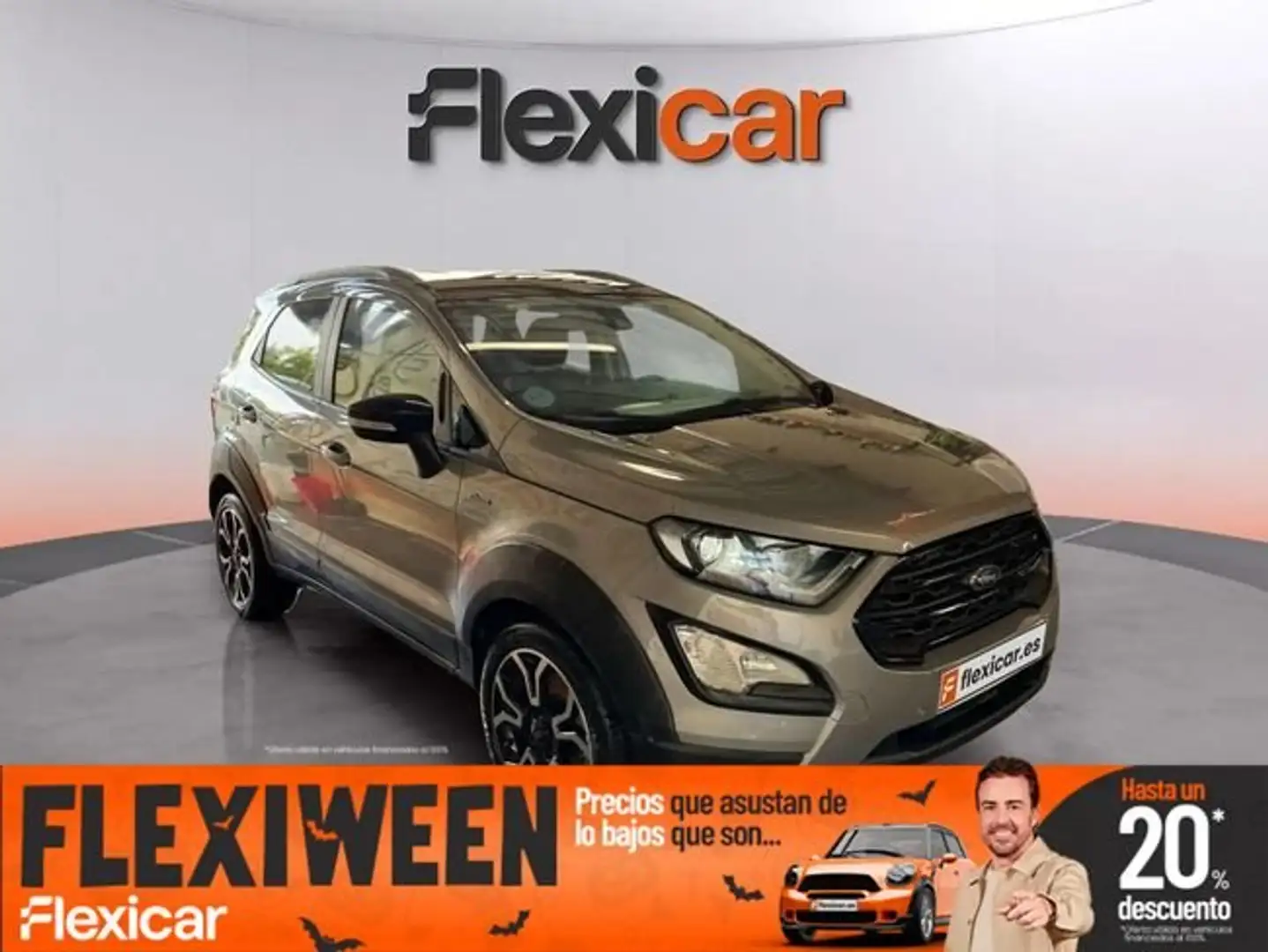 Ford EcoSport 1.0 EcoBoost Active 125 Gris - 1