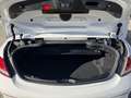 Mercedes-Benz C 200 Cabrio Edition 1 AMG Burmester | Nekverwarming | L Blanc - thumbnail 30
