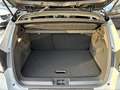 Renault Captur Techno Mild Hybrid 140 Winter-Paket Kamera Klima Gris - thumbnail 9