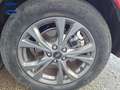 Ford Kuga 1.5 EcoBlue ST-Line FWD 120 Rojo - thumbnail 12