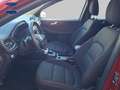 Ford Kuga 1.5 EcoBlue ST-Line FWD 120 Rojo - thumbnail 9