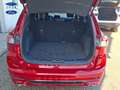 Ford Kuga 1.5 EcoBlue ST-Line FWD 120 Rojo - thumbnail 11