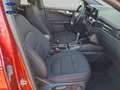 Ford Kuga 1.5 EcoBlue ST-Line FWD 120 Rojo - thumbnail 8