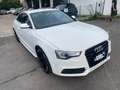 Audi A5 2.0 TDI 177 CV quattro S Line S tronic Bianco - thumbnail 1