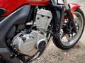 Honda CBF 600 Czerwony - thumbnail 5