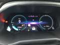 Renault ZOE Business  R110 Achat Intégral 52 kw Bianco - thumbnail 12