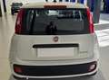 Fiat Panda Pandina 1.0 firefly hybrid Icon s Bianco - thumbnail 5