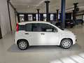 Fiat Panda Pandina 1.0 firefly hybrid Icon s Bianco - thumbnail 8